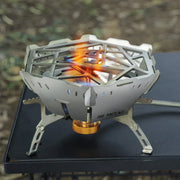 Camping Gas Stove-1