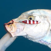 The Reef Jigger Gift Pack - Outbackers