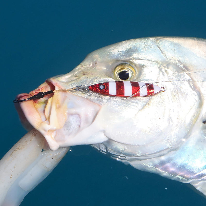 The Reef Jigger Gift Pack - Outbackers