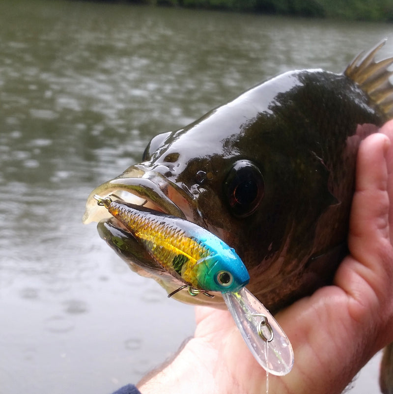 Hook Line & Sinker Gift Pack - Outbackers