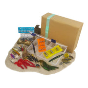 Travellers Lure Fishing Gift Pack - Outbackers