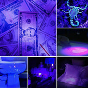 Mini UV 395nm Inspection Pen Torch Ultra Violet Flashlight Pocket Lamp Fluoresce - Outbackers