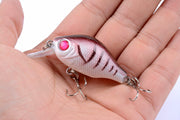 5x 5.5cm Popper Crank Bait Fishing Lure Lures Surface Tackle Saltwater - Outbackers