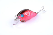 5x 5.5cm Popper Crank Bait Fishing Lure Lures Surface Tackle Saltwater - Outbackers