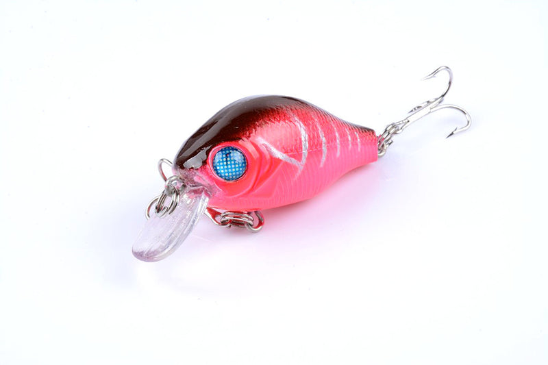 5x 5.5cm Popper Crank Bait Fishing Lure Lures Surface Tackle Saltwater - Outbackers
