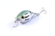 5x 5.5cm Popper Crank Bait Fishing Lure Lures Surface Tackle Saltwater - Outbackers