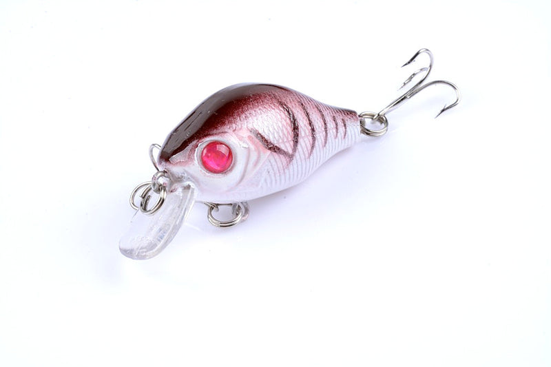 5x 5.5cm Popper Crank Bait Fishing Lure Lures Surface Tackle Saltwater - Outbackers