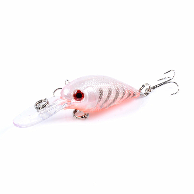 9x Popper Crank 5.7cm Fishing Lure Lures Surface Tackle Fresh Saltwater - Outbackers