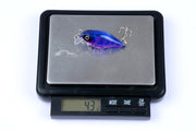 5x 4.3cm Popper Crank Bait Fishing Lure Lures Surface Tackle Saltwater - Outbackers