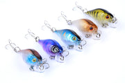5x 4.3cm Popper Crank Bait Fishing Lure Lures Surface Tackle Saltwater - Outbackers