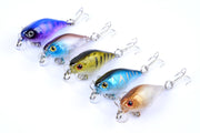 5x 4.3cm Popper Crank Bait Fishing Lure Lures Surface Tackle Saltwater - Outbackers