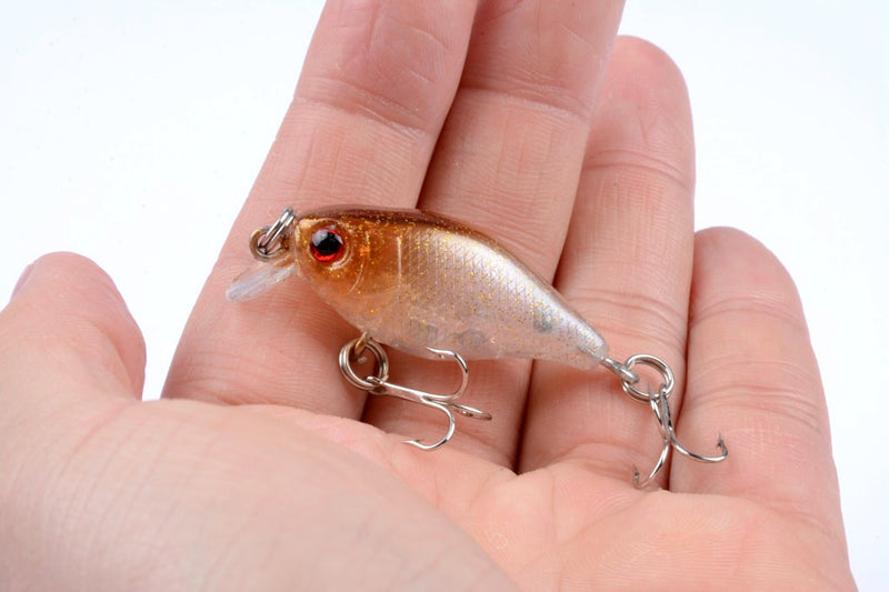 5x 4.3cm Popper Crank Bait Fishing Lure Lures Surface Tackle Saltwater - Outbackers