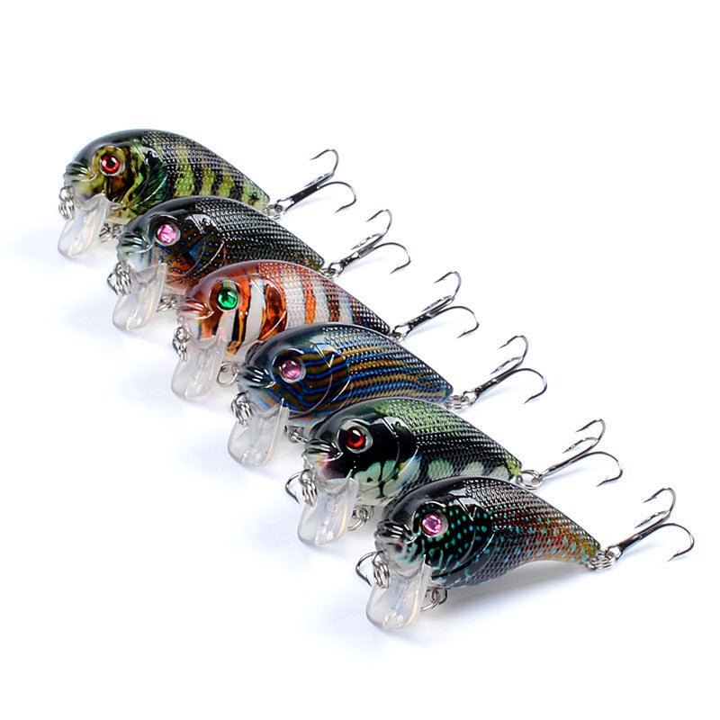 6x Popper Poppers 5cm Fishing Lure Lures Surface Tackle Fresh Saltwater - Outbackers
