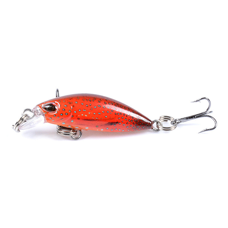 7x Popper Poppers 4.1cmFishing Lure Lures Surface Tackle Fresh Saltwater - Outbackers