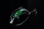 5x 5.5cm Popper Crank Bait Fishing Lure Lures Surface Tackle Saltwater - Outbackers