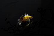 5x 3cm Popper Crank Bait Fishing Lure Lures Surface Tackle Saltwater - Outbackers