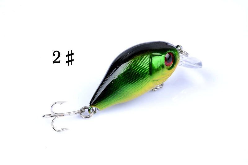 5x 5.5cm Popper Crank Bait Fishing Lure Lures Surface Tackle Saltwater - Outbackers