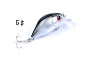 5x 5.5cm Popper Crank Bait Fishing Lure Lures Surface Tackle Saltwater - Outbackers