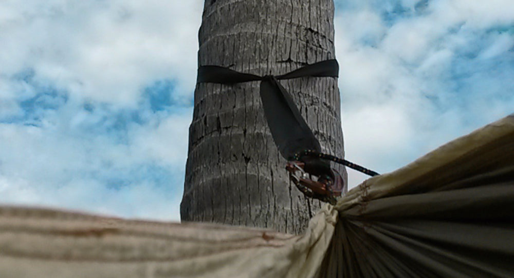 Standard Tree Straps